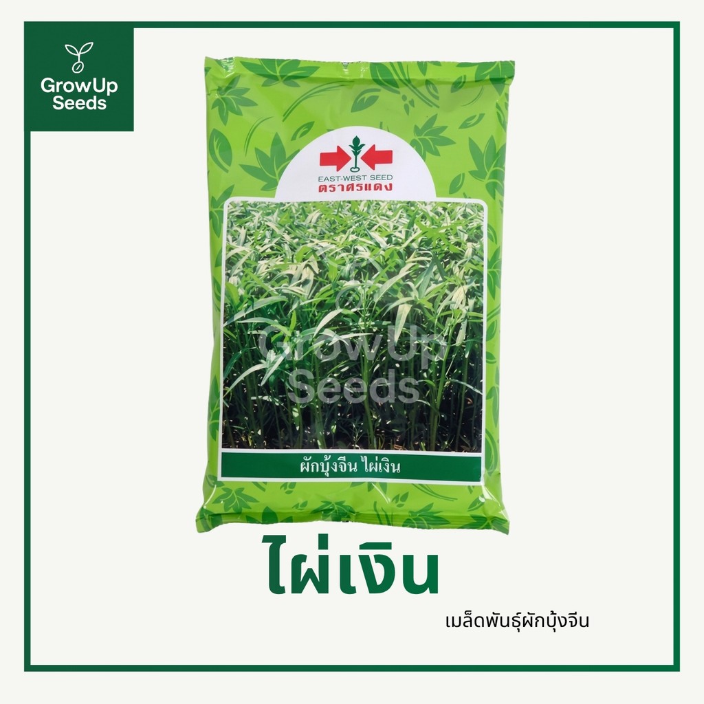 ไผ่เงิน เมล็ดพันธุ์ผักบุ้ง ผักบุ้งจีน ตราศรแดง ขนาด 1 kg