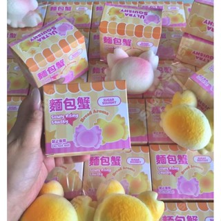 สกุชชี่น้ําตาล สกุชชี่ปูสองสี ช้า เพิ่มขึ้น