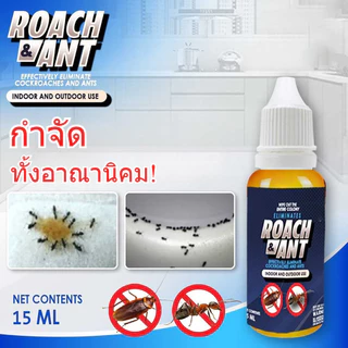 COD✅ เจลกำจัดมด แอนติแอนท์ เหยื่อกำจัดมด เจลล่อมด หยดเดียวตายยกรัง 15ml เพิ่มปริมานขึ้น