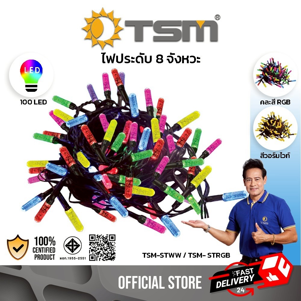ไฟประดับ ตกแต่ง LED 100ดวง ไฟเทศกาล ยาว10เมตร ไฟกระพริบ ไฟตกแต่ง ไฟ รุ่น TSM-STWW,TSM-STRGB
