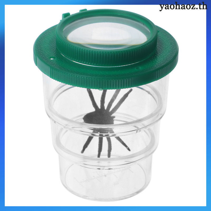 📦 กล่องสังเกตแมลงของเล่น Insect Catcher กล่องสังเกตแมลง กล่องแมลง กล่องแสดงแมลง สำหรับเด็ก