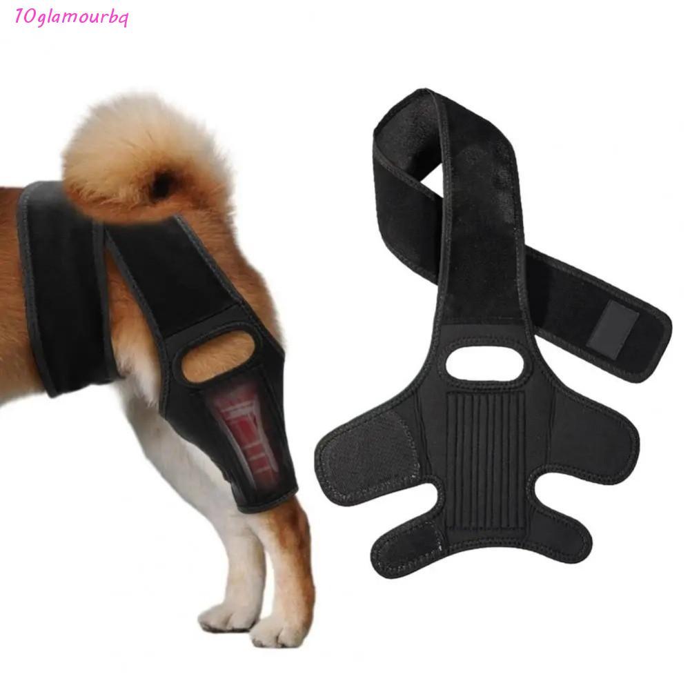 GLAMOURBQ รัดเข่าสุนัข, วัสดุระบายอากาศ Anti-lick Pet Leg Support, Mobility Aid ทนทานก่อสร้างสายรัดป
