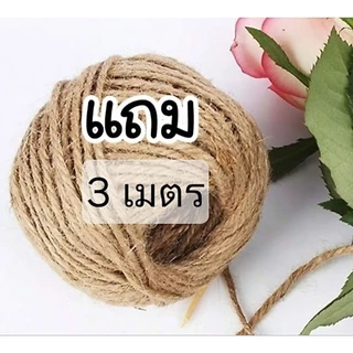 ไม้หนีบ 50 ชิ้น รูปหัวใจ 2.5cm วาเลนไทน์ 50 ชิ้น love heart wooden clips 🤎แถมเชือกน้ำตาล 3 เมตร พร้อมส่ง✨🥳🥳🥳