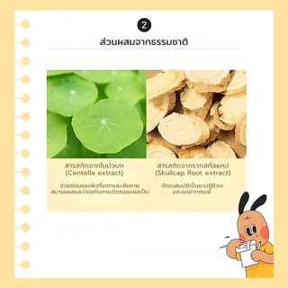 [Junglemonster] Cream Ceramidog For Dog and Cat ครีมทาอุ้งเท้าสําหรับสัตว์เลี้ยง เพิ่มความชุ่มชื้น