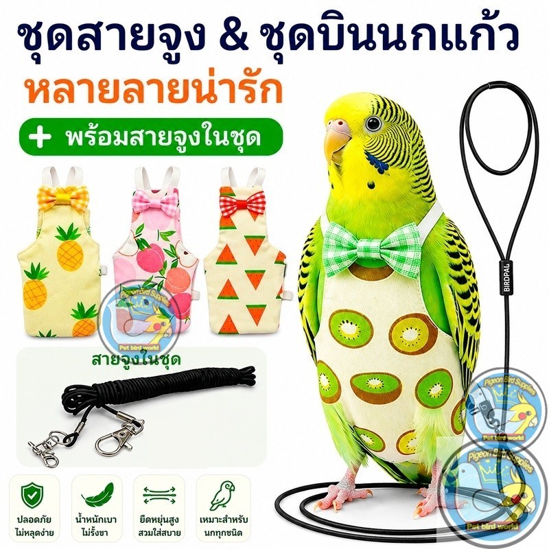 ชุดผ้าอ้อมนกสำหรับบิน — ผ้าอ้อมนกแก้วและถุงรองมูล พร้อมผ้าฝ้ายซึมซับพิเศษ