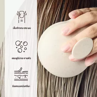 แปรงสระผม สระผมให้สะอาดยิ่งขึ้น แปรงนวด แปรงนวดหนังศรีษะ วัสดุจากข้าวสาลีเป็นมิตรกับสิ่งแวดล้อมScalp Brush