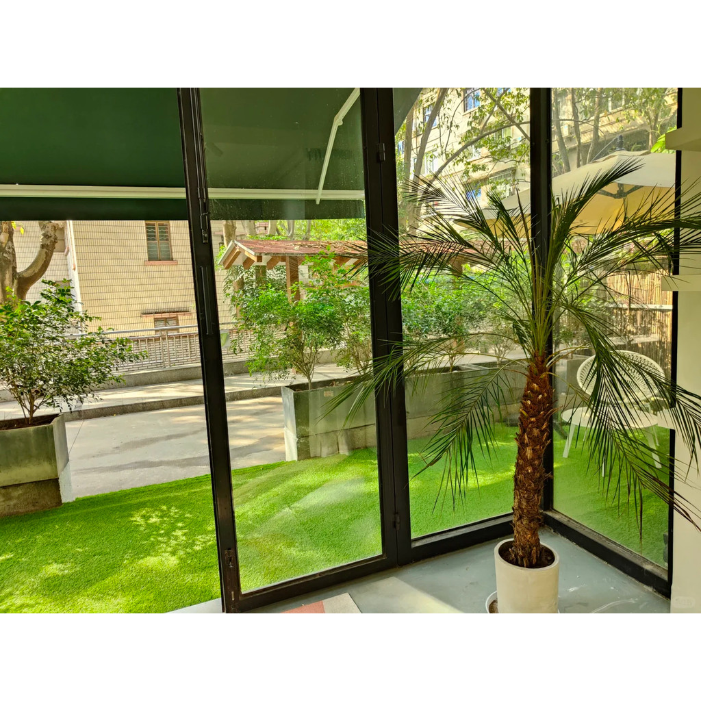 รูปภาพ 6