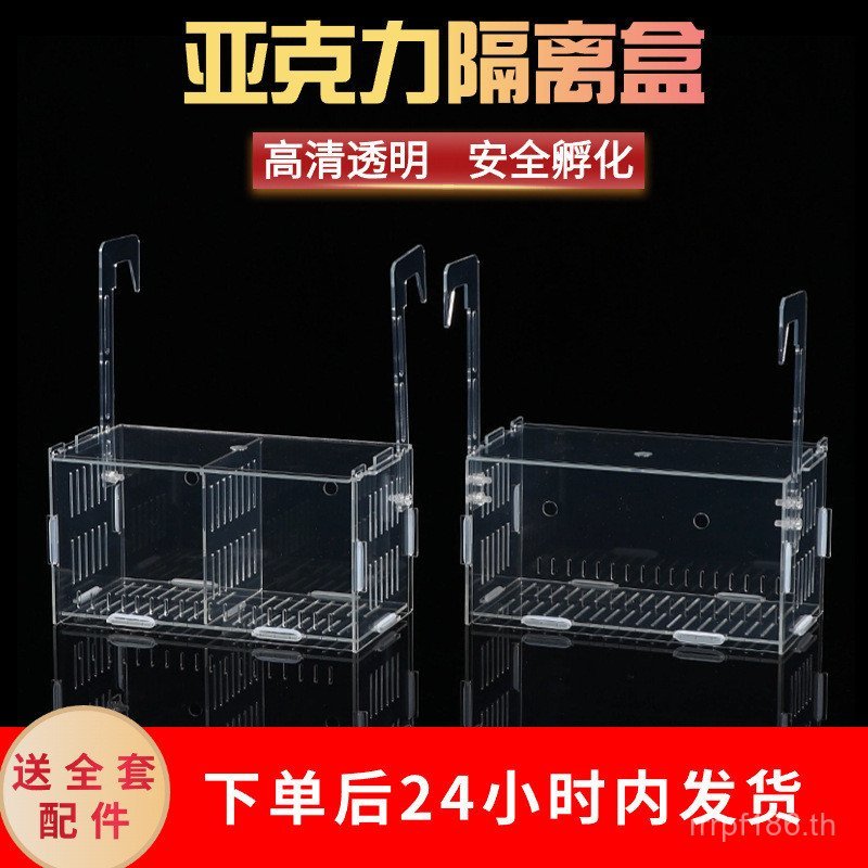 Guppy Betta Shipment Mini Parrot Fish Box Isolation Box Fish Tank Small Fish Fry Acrylic Batch Breed