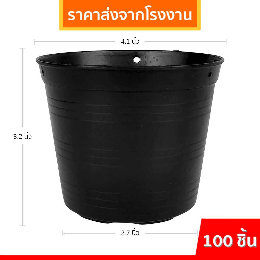 กระถางต้นไม้พลาสติก กระถางต้นไม้ กระถาง 2 2.5 3 4 5.5 6 8 9 นิ้ว ราคาส่ง thumbnail 5