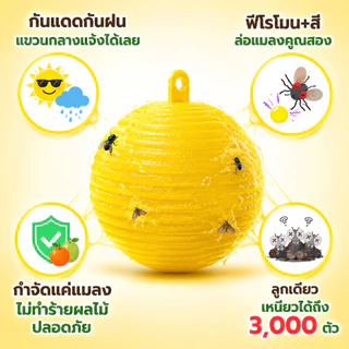 🔥รุ่นอัพเกรด 🔥ได้ผล3ปี🦟ลูกบอลดักแมลง กวาทรงพลัง กันน้ำกันแดด กาวดักแมลงหวี่ ที่ดักแมลงวันทอง กาวดักแมลงวัน ไม่ละลายกาว