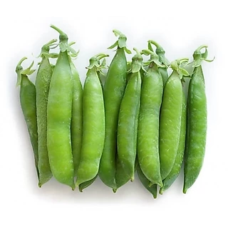 เมล็ดพันธุ์ ถั่วหวาน, ถั่วลันเตาหวาน Sugar Daddy Snap Pea Seed บรรจุ 25 เมล็ด คุณภาพดี ของแท้ 100%