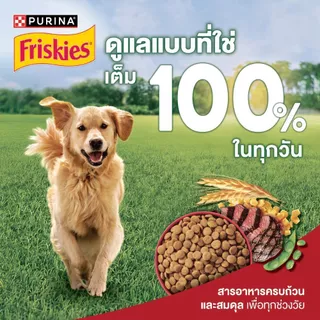 [เลือกขนาดได้] Friskies อาหารสุนัข สุนัขโต รสเนื้อ