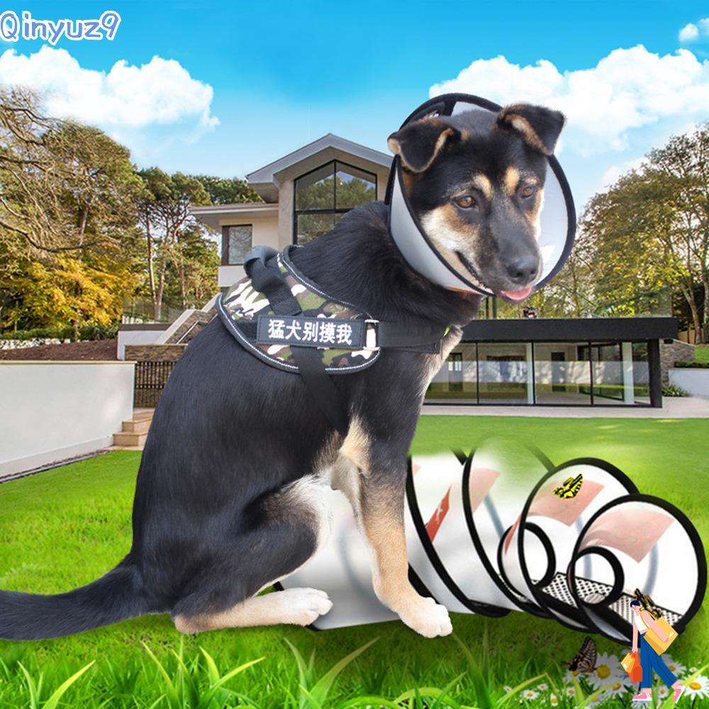 QINYUZ9 Pet Cone Collar ปลอกคอป้องกันโปร่งใส Anti-Bite Circle