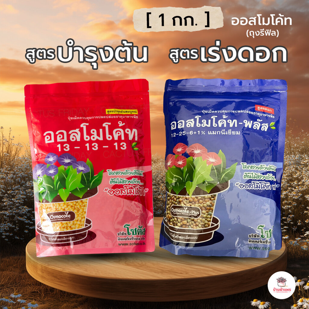 [ 1 กก. ] ออสโมโค้ท ถุงรีฟิล ไม้อวบน้ำ กุหลาบหิน cactus&succulent