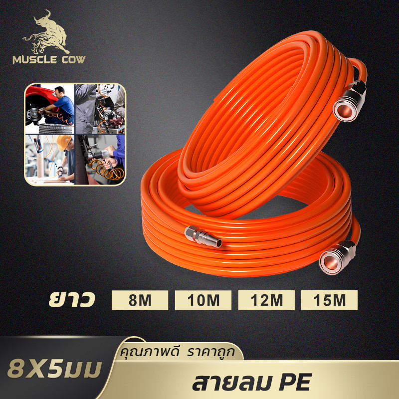 MUSCLE COW สายลมแรงดันสูง PE 8x5 มม. สีส้ม ยาว 8/10/12/15 ม. พร้อมข้อต่อทองเหลืองทั้งสองด้าน