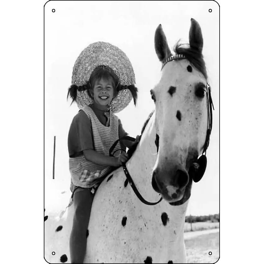 โปสเตอร์โลหะดีบุก Pippi Longstocking สำหรับการตกแต่งผนังและศิลปะในบ้าน