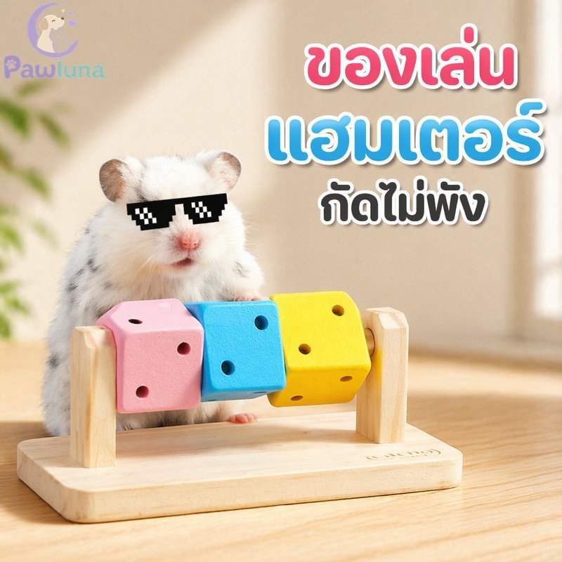 หนูแฮมสเตอร์เคี้ยวของเล่นหมุนลูกเต๋าฟันบล็อกเล่นโต้ตอบการพัฒนาอุปกรณ์เสริมสัตว์เลี้ยงขนาดเล็ก