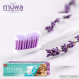 [พร้อมส่ง] กานพลู ยาสีฟันสูตรสมุนไพรกระชาย กลิ่นลาเวนเดอร์ ขนาด 70 กรัม