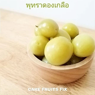 พุทรานมสด ดองเกลือ แพ็คถุง 300 g.(กรัม),500 g.(กรัม) และ 1kg.(กิโลกรม) แถมฟรีพริกเกลือ ราคาถูก แพคอย่างดี (ผลไม้ดอง)