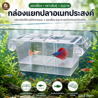 กล่องแยกปลา กล่องอนุบาลปลา ผสมพันธุ์ปลา แยกแม่ปลาและลูกปลา ติดกระจกด้วยจุ๊บดูด สำหรับเลี้ยงหรือแยกปลา