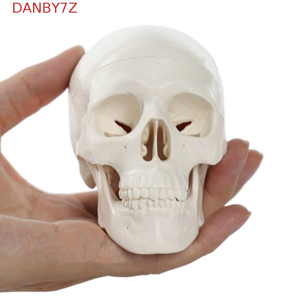 DANBY7Z Skull Model, Skull Cap รุ่นหัวมนุษย์สะดวก, 92x99x71mm ที่ถอดออกได้ Mini Studying Anatomical 