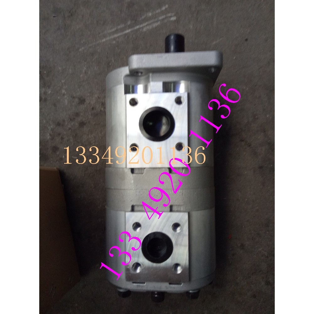 Hefei SAIYUAN ไฮดรอลิก CBNL-F563/F520-BFP ปั๊มน้ํามันเกียร์คู่ SAIYUAN