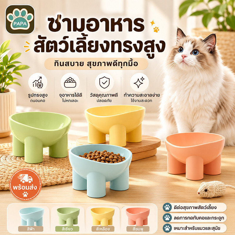 ชามอาหารสัตว์เลี้ยง ชามอาหารแมว
