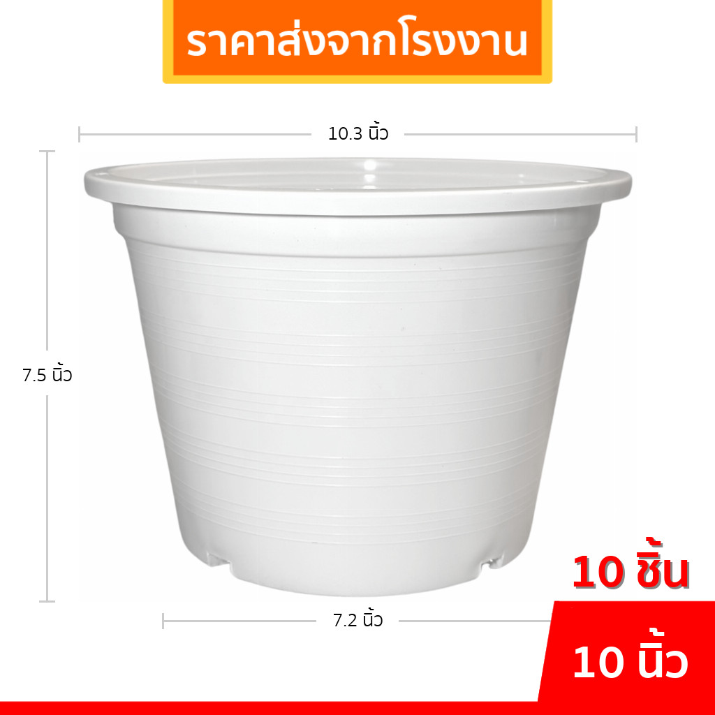 กระถาง กระถางต้นไม้ กระถางขาว เบอร์ 10 นิ้ว สีขาว 10 ใบ ชิ้น ยกมัด