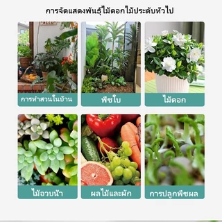 [ซื้อ1แถม1] ปุ๋ยกระตุ้นดิน สารปรับปรุงดิน บำรุงราก ปรับค่า pH ดิน ช่วยให้ดินร่วนซุย ใช้ได้กับผัก ดอกไม้ ไม้ผล มีแบบกระปุ