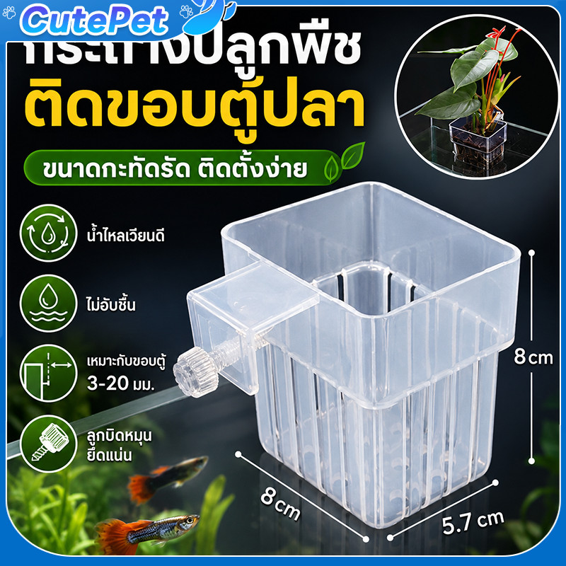 ตะกร้าปลูกพืชน้ำ ตะกร้าปลูกผักบนตู้ปลา ตะกร้าปลูกผักบนตู้ปลา สะดวกสบาย ไม่เป็นอันตรายต่อปลาและพืช ปลูกพืชได้หลากหลายชนิด