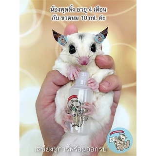 V ( ขวดนมเชคเกอร์ ) SHAKER ขวดนมชูการ์ ขวดนม ขวดนมสัตว์เล็ก ขวดนมสัตว์เลี้ยง ขวดนมพกพา ขวดนมกระรอก ขวดนมดอร์เมาส์