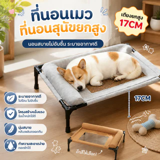 ที่นอนแมว ที่นอนสุนัขยกสูง ผ้าอัพเกรดใหม่ ระบายอากาศและป้องกันความชื้น ทนต่อการขีดข่วน