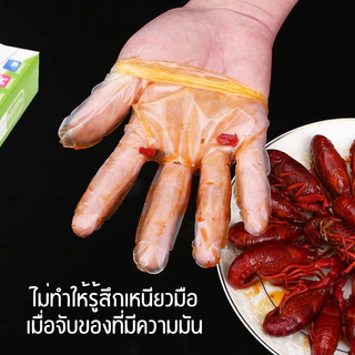 ถุงมือ TPE ถุงมือใช้แล้วทิ้ง ถุงมือพลาสติก ไม่ขาดง่าย ทำอาหาร แบบใช้แล้วทิ้ง ขนาด S/M/L