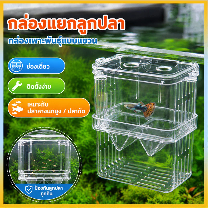 กล่องแยกปลา ตู้แยกปลาคลอดลูก แยกได้ 2