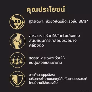 [เลือกรสชาติได้] PROPLAN® อาหารแมวชนิดเม็ด 1.5 กก. X2