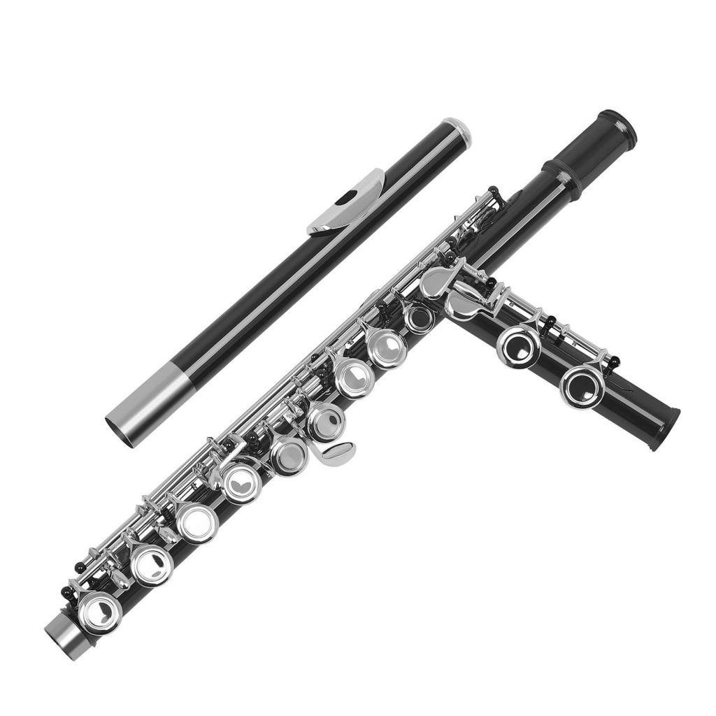 Western Concert Flute Cupronickel ชุบนิกเกิล 16 หลุม C Key Woodwind Instrument ผ้าทำความสะอาดถุงมือ 