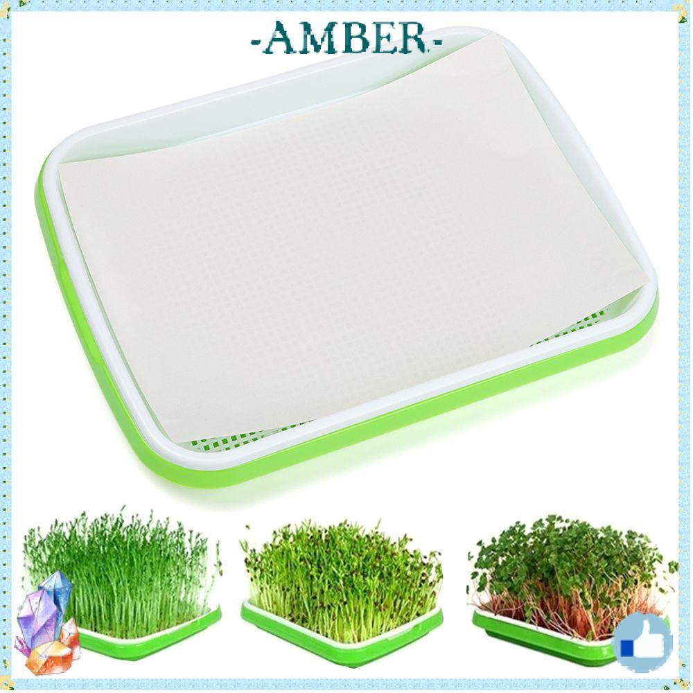 AMBER Grow Nursery Pots Gardening Supplies ถาด Hydroponic Nursery Paper Plant Box