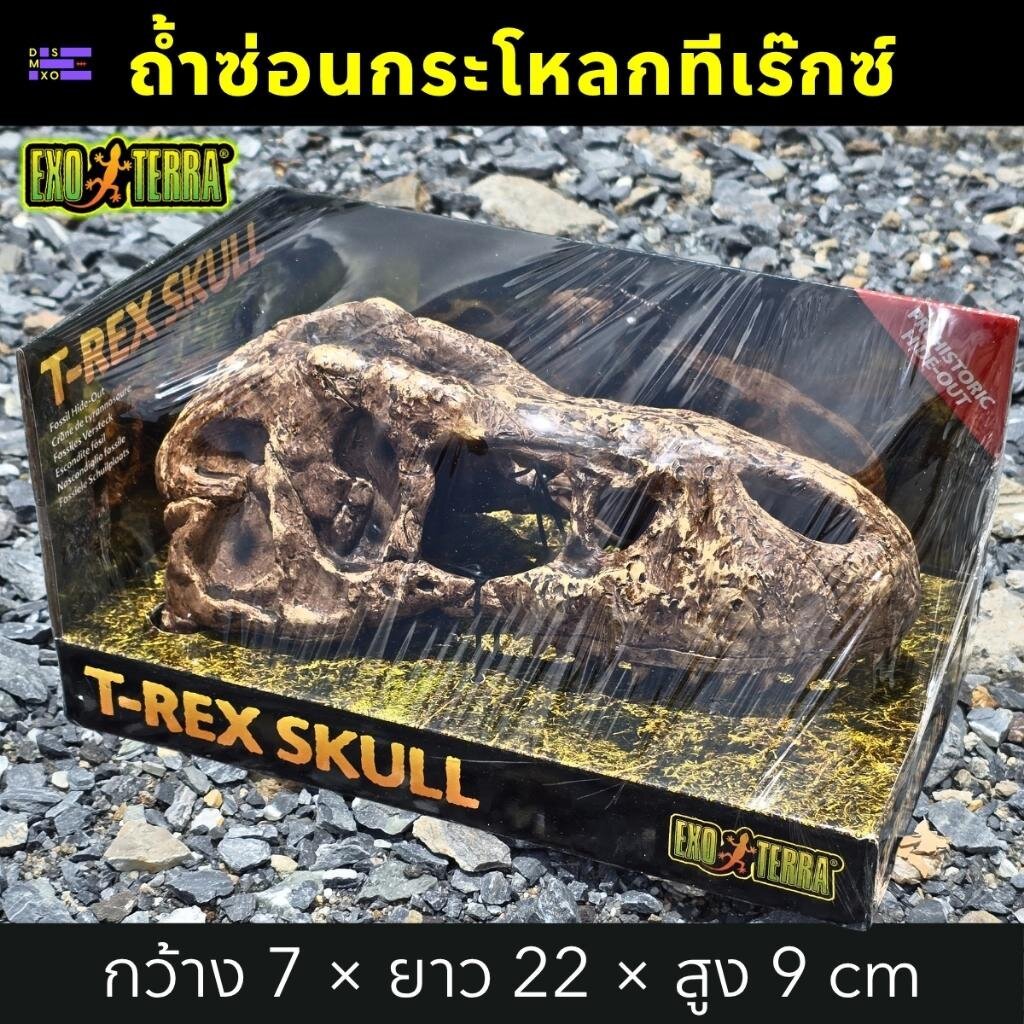 EXO TERRA T-Rex Skull กะโหลกไดโนเสาร์ ที่ซ่อนสัตว์เลื้อยคลาน งู ตุ๊กแก กิ้งก่า แมงมุม