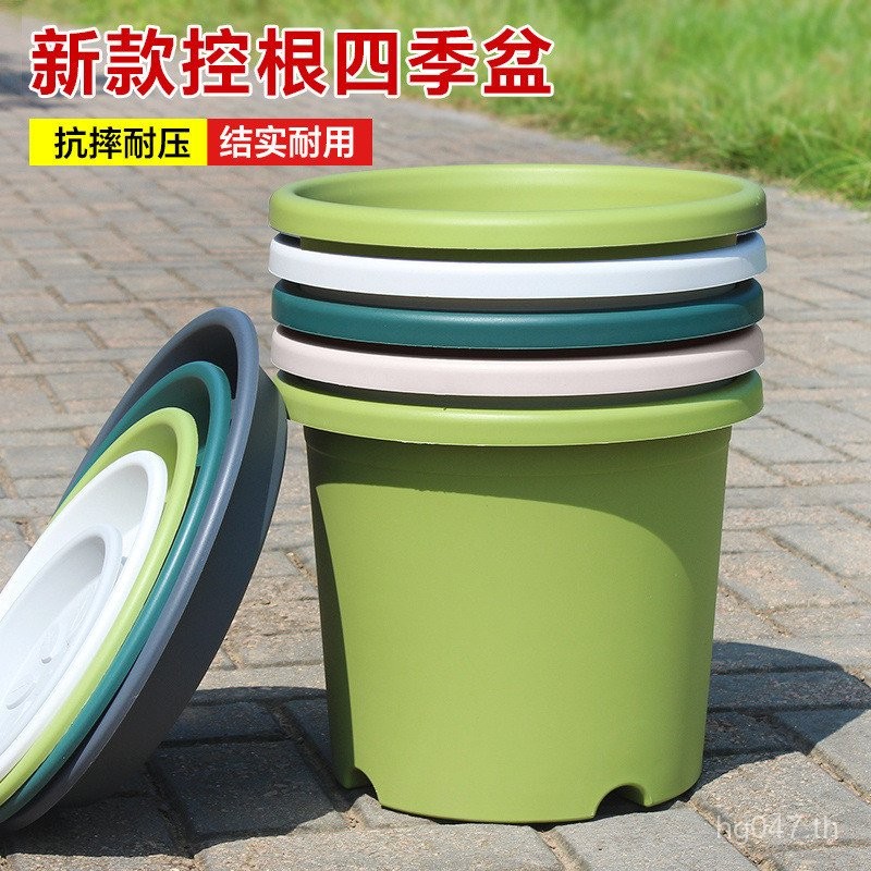 ระเบียงกระถางดอกไม้สี่ฤดูกาลหนาหม้อกุหลาบรากควบคุมแกลลอนเรซินครัวเรือน อาโอยามะ ไฮเดรนเยียพลาสติกสไต