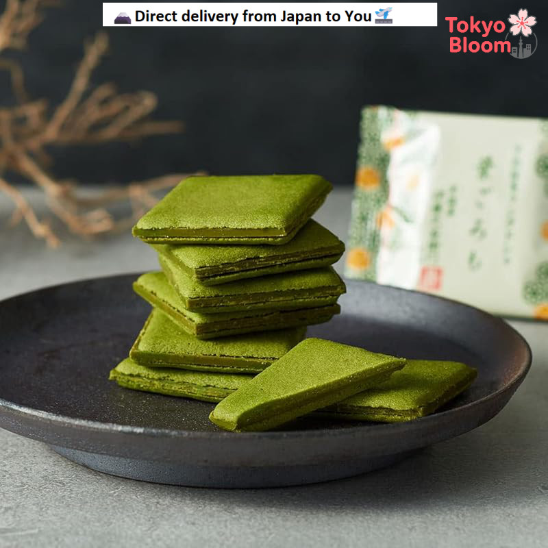 Ito Kyuemon Uji Matcha Chocolate Langue de Chat Hegoromo 10-piece Cookies