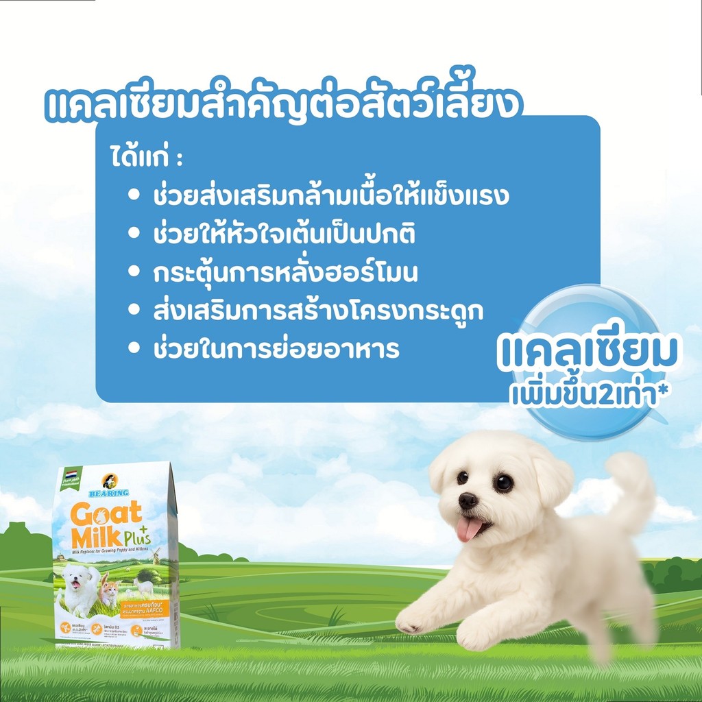 BEARING Goat Milk Plus แบร์ริ่ง โกท มิลค์พลัส 200g - รูปที่ 4