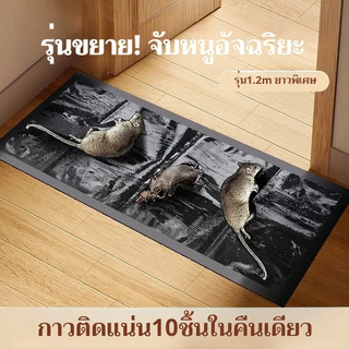 6 แผ่น กาวดักหนู แร็ท กลู กาวเหนียวพิเศษ จับหนู แผ่นใหญ่ขนาด 120*27.5CM เหนียวหนึบพิเศษ ติดทน ไม่ไหลเยิ้ม ปลอดสารพิษ