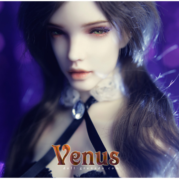 GRANADO-o Saffron o-Venus One-thirt 1/3BJD Doll Head