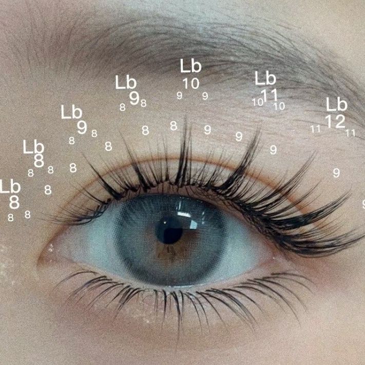 Alice.Comic Camellia/Goose Down/Diagonal Flying Style/.ผมแบนซื้อกล่องหกกล่อง20251021