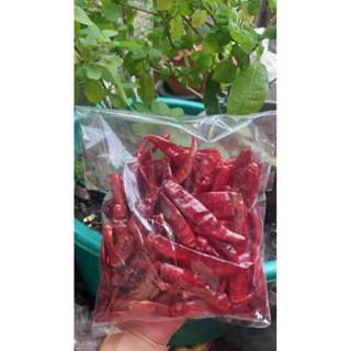 พริกเเห้งเม็ดใหญ่บางช้าง(เด็ดก้าน) ขนาด 500กรัม/200บ.