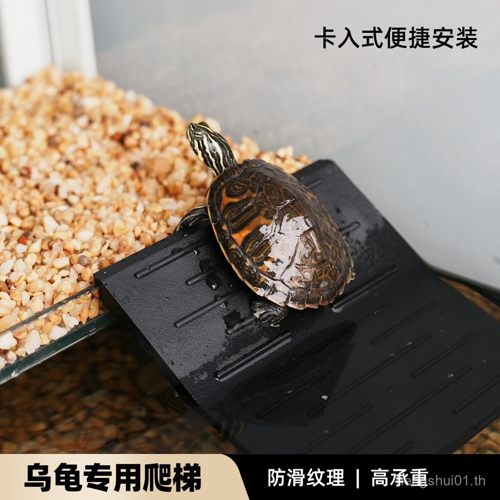 กระดานลาดขั้นบันไดเต่า VL8C