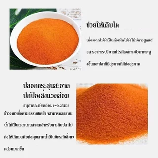 อาร์ทีเมียอาหารปลาเปลือกน้ําเกลือกุ้งโปรตีนสูงอาหารโดยตรงทอดปลากัดปลาทอง50 100 200ก
