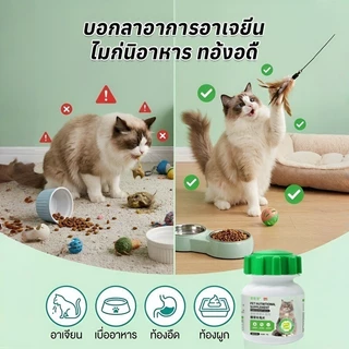 😻🔥อาหารเสริมสำหรับสัตว์เลี้ยง 50g ช่วยขับขนในลำคอ ลำไส้ ขจัดก้อนขน ผสมอกไก่แท้ โปรตีนสูง หอม ขนมแมว Cat grass