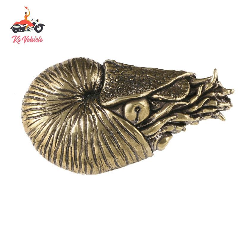 [แรง] Ammonite Form Sculpture Style Ammonite Form เครื่องประดับ Textured Spiral Conch ตุ๊กตาสําหรับช