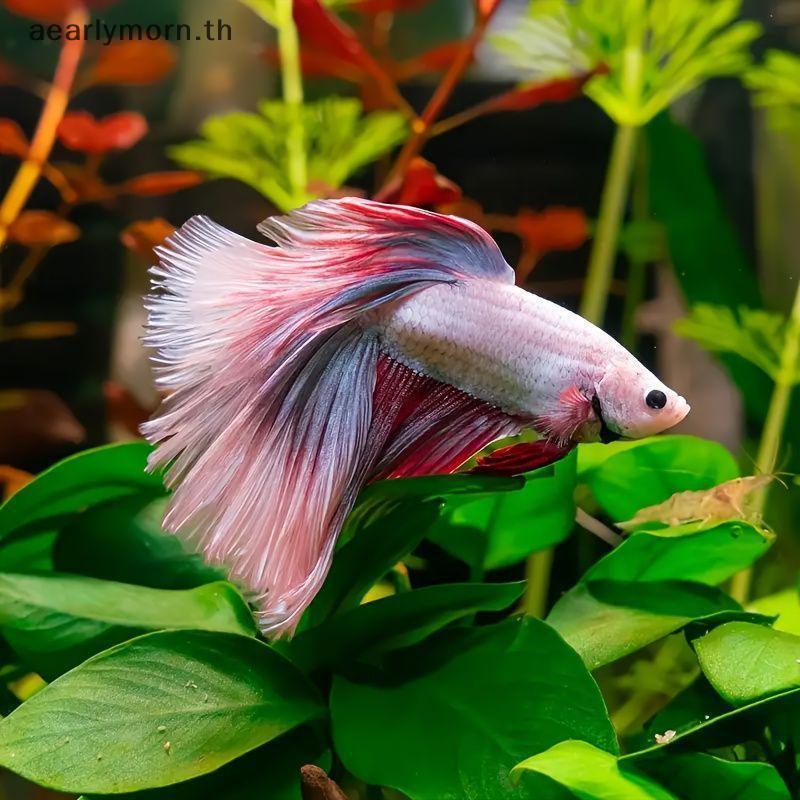 AA Betta Rest Leaf 5 ชิ้นพลาสติกจําลองใบบัวเหมาะสําหรับ Betta Daily Rest Hiding Spao TH